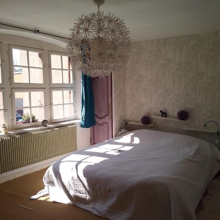 Apartamento Le Baudinot Sélestat Exterior foto